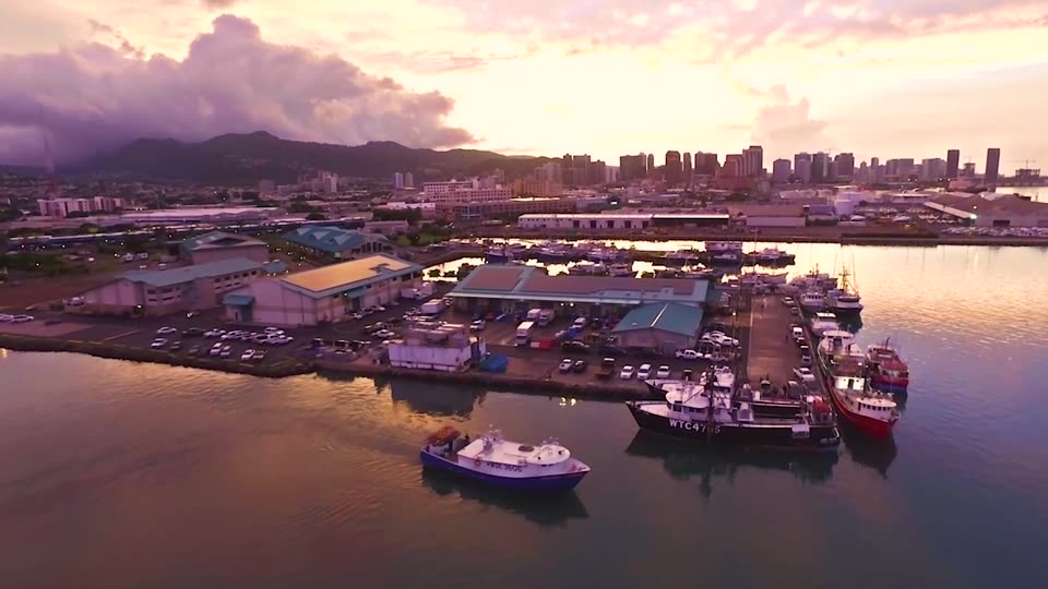 Video still: Ali'i Fish Co. brand film
